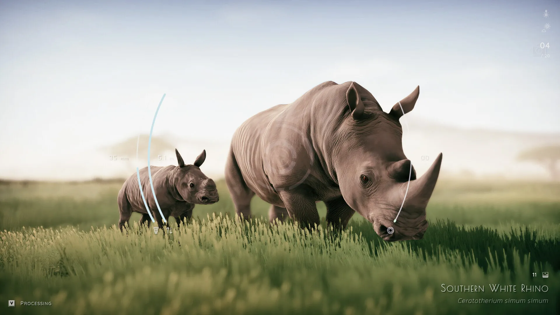 幽居之境/Seclusa-狐狸的小窝&新云工作室