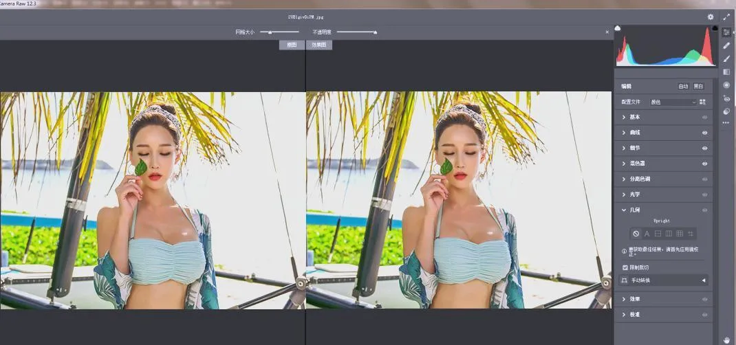 RAW处理Adobe Camera Raw v18.2.0中文版-狐狸的小窝&新云工作室