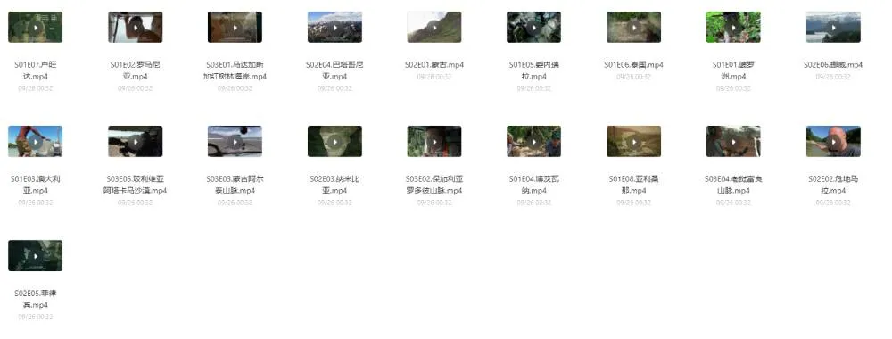 国外贝爷的、荒野求生全系列-狐狸的小窝&新云工作室